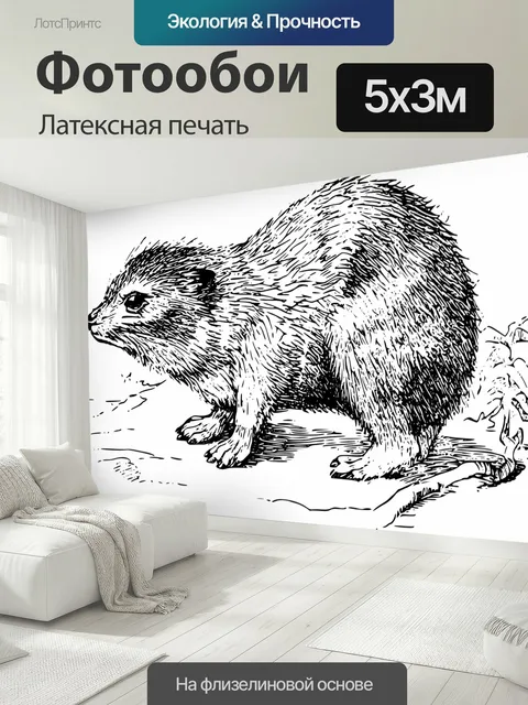 500 × 300 см · Латексная печать