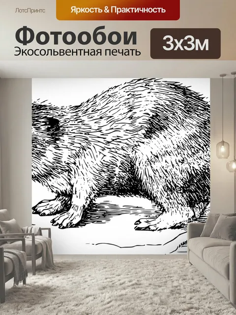 Фотообои Африка, животное, даман