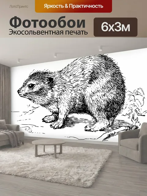 600 × 300 см · Экосольвентная печать