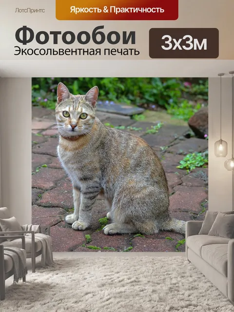 Фотообои Кошка, кошачий, полосатый