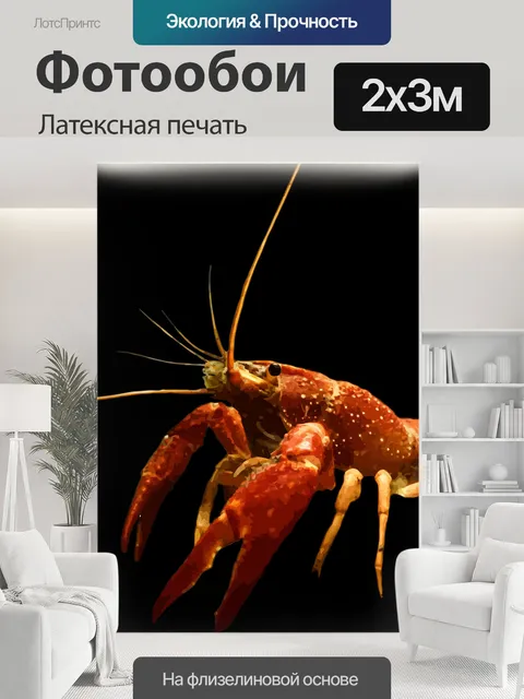 200 × 300 см · Латексная печать