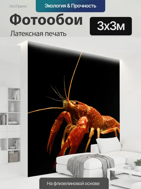 300 × 300 см · Латексная печать