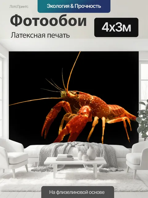 400 × 300 см · Латексная печать