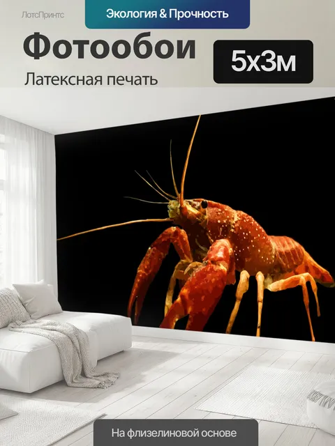 500 × 300 см · Латексная печать