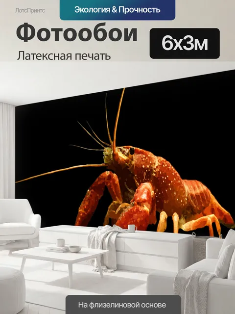 600 × 300 см · Латексная печать