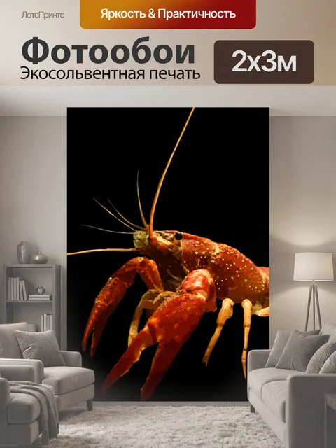 200 × 300 см · Экосольвентная печать