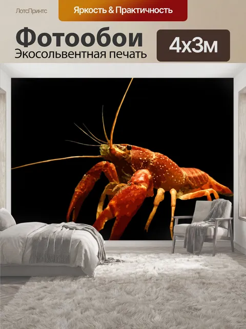 400 × 300 см · Экосольвентная печать
