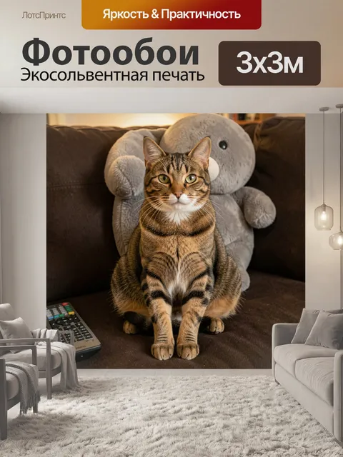 Фотообои Табби кот на диване. Рыже-коричневый полосатый питомец сидит на мягком тёмном диване в уютной домашней…