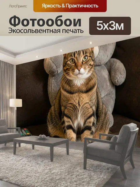 Фотообои Табби кот на диване. Рыже-коричневый полосатый питомец сидит на мягком тёмном диване в уютной домашней…