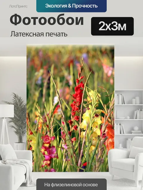 200 × 300 см · Латексная печать