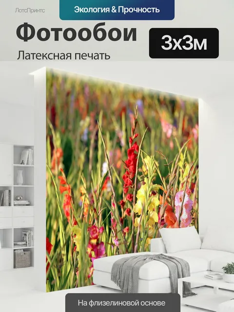 300 × 300 см · Латексная печать