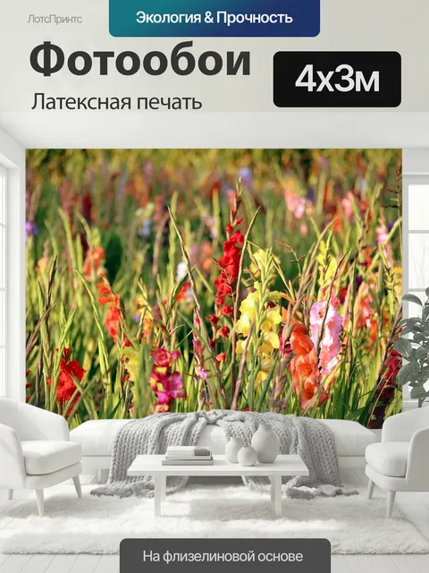 400 × 300 см · Латексная печать