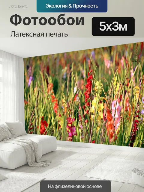500 × 300 см · Латексная печать