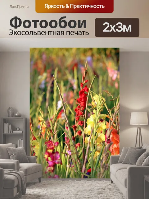 200 × 300 см · Экосольвентная печать