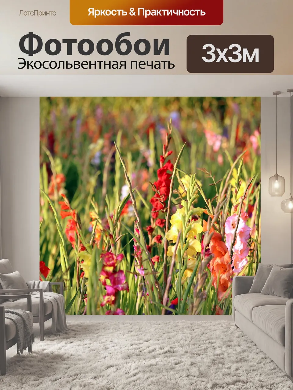 Фотообои Гладиолус, золотой час, гладиолус поле