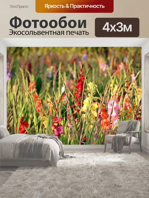 400 × 300 см · Экосольвентная печать