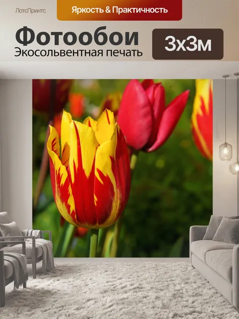 Фотообои Цвести, тюльпан, красный желтый