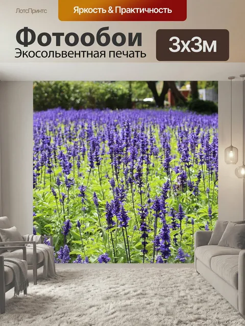 Фотообои Фиолетовый, цветы, блум