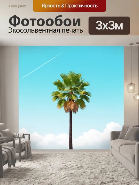 Фотообои Тропическая пальма в небе