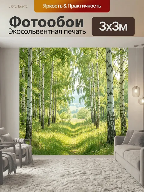 Фотообои Берёзовая аллея в летнем лесу
