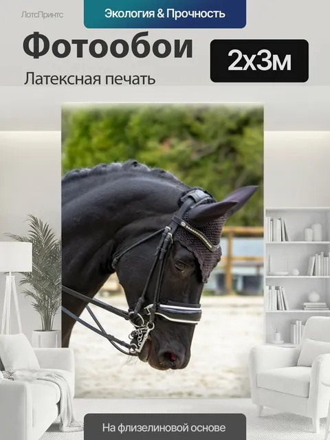 200 × 300 см · Латексная печать