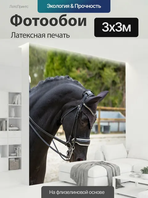 300 × 300 см · Латексная печать