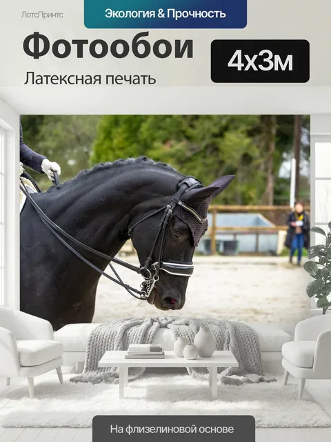 400 × 300 см · Латексная печать