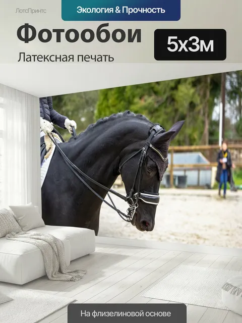 500 × 300 см · Латексная печать