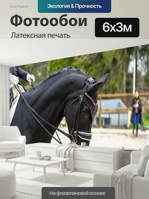 600 × 300 см · Латексная печать