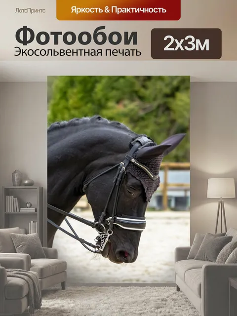 200 × 300 см · Экосольвентная печать