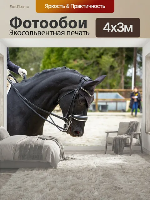 400 × 300 см · Экосольвентная печать