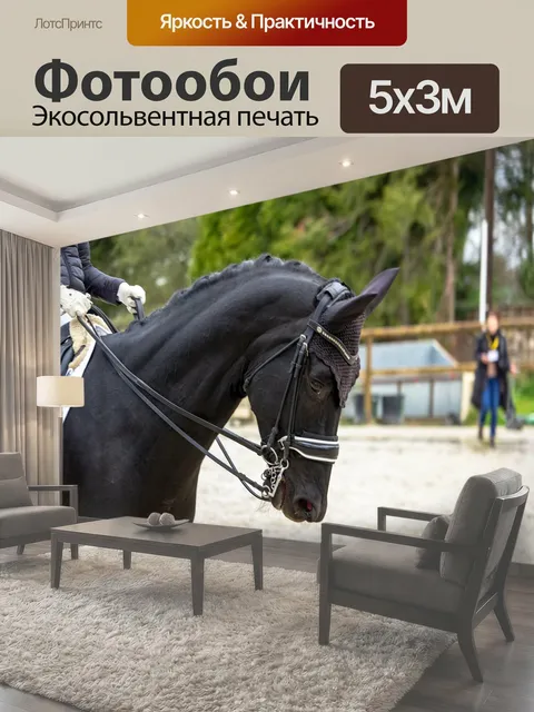 500 × 300 см · Экосольвентная печать