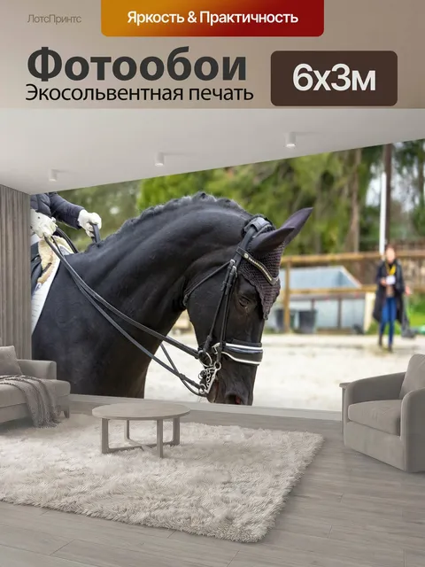 600 × 300 см · Экосольвентная печать