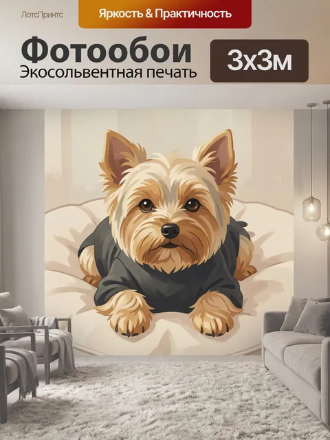 Фотообои Йоркширский терьер в свитере