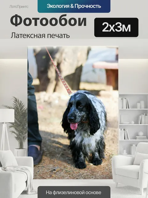 200 × 300 см · Латексная печать