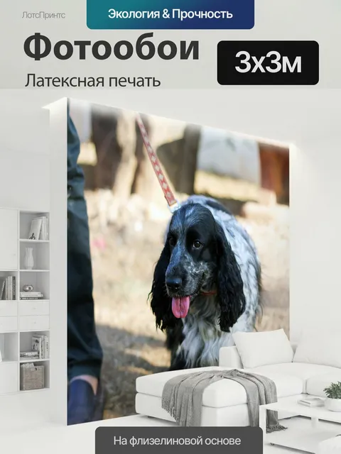 300 × 300 см · Латексная печать