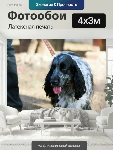 400 × 300 см · Латексная печать