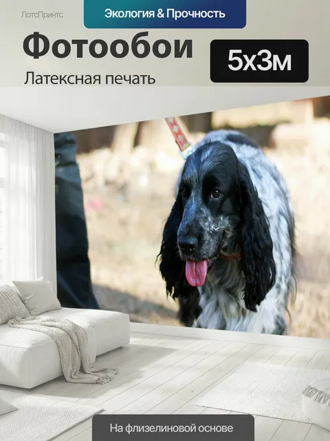 500 × 300 см · Латексная печать