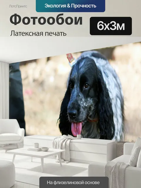 600 × 300 см · Латексная печать