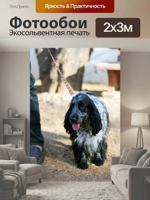200 × 300 см · Экосольвентная печать