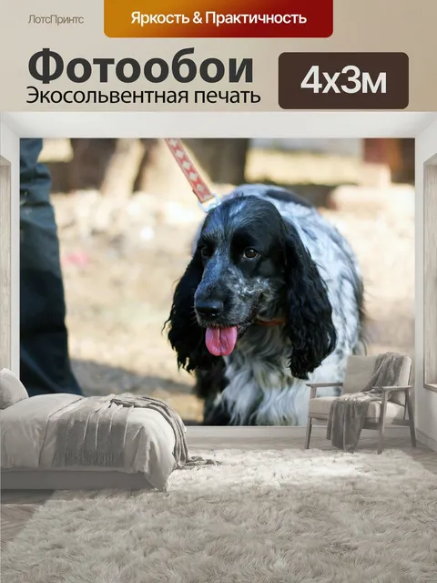 400 × 300 см · Экосольвентная печать