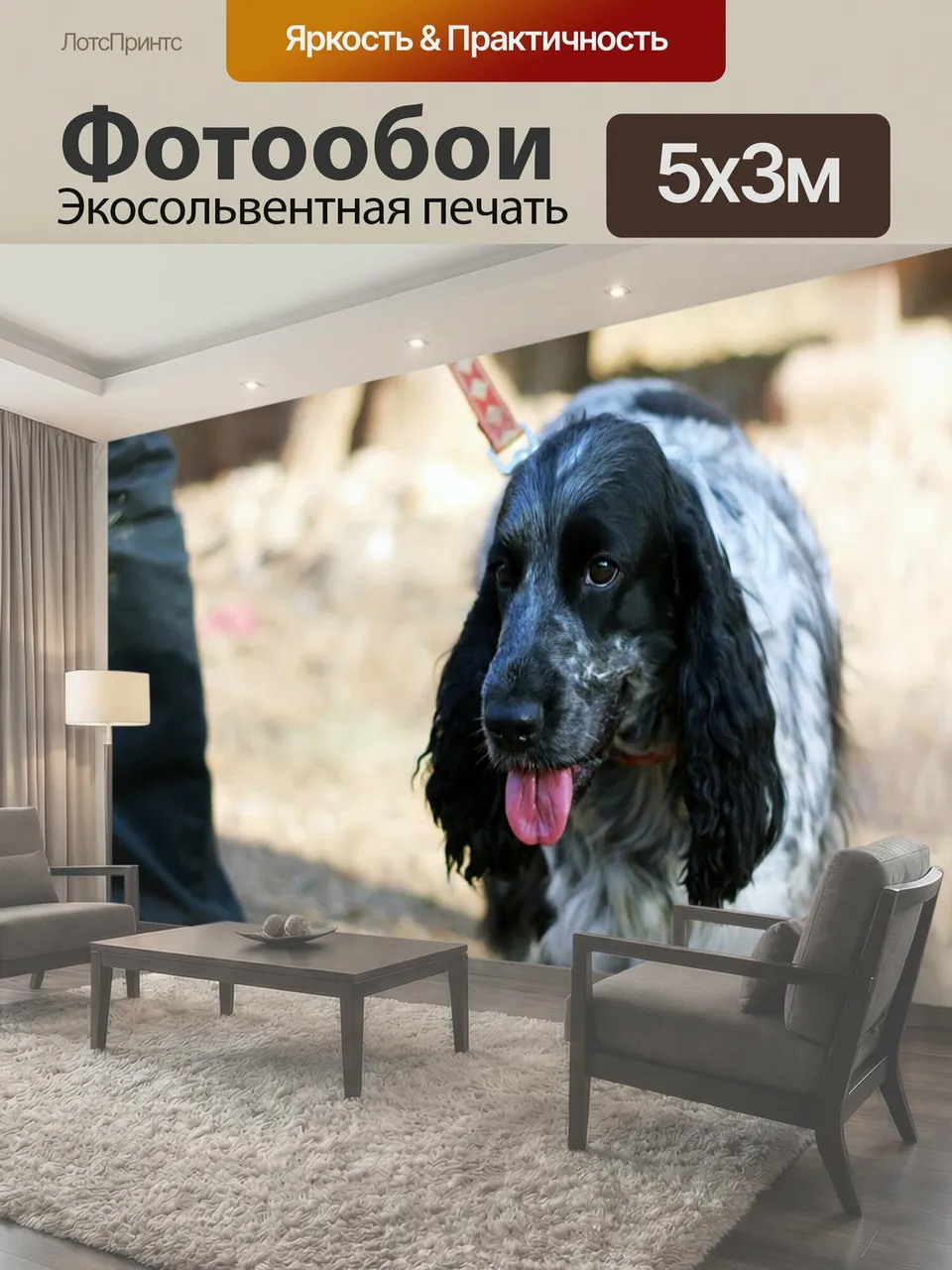Фотообои Спаниель, собака, домашний питомец