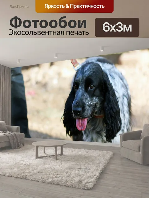 600 × 300 см · Экосольвентная печать