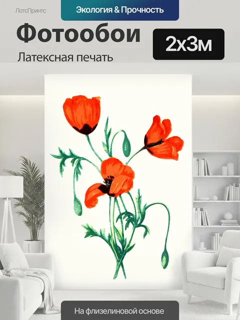 200 × 300 см · Латексная печать