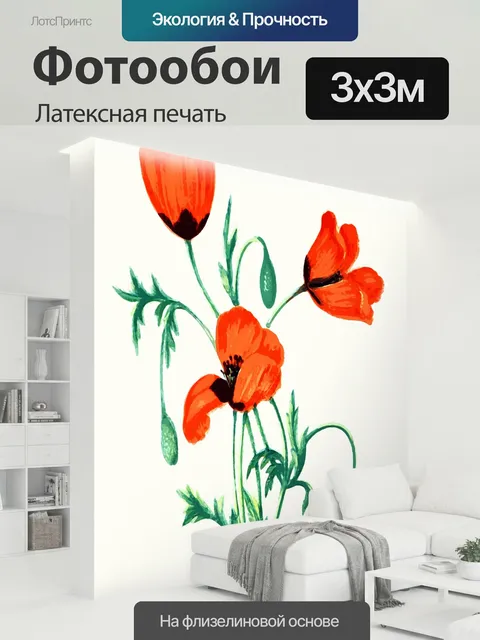 300 × 300 см · Латексная печать