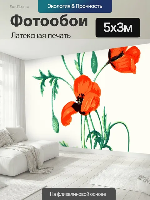 500 × 300 см · Латексная печать