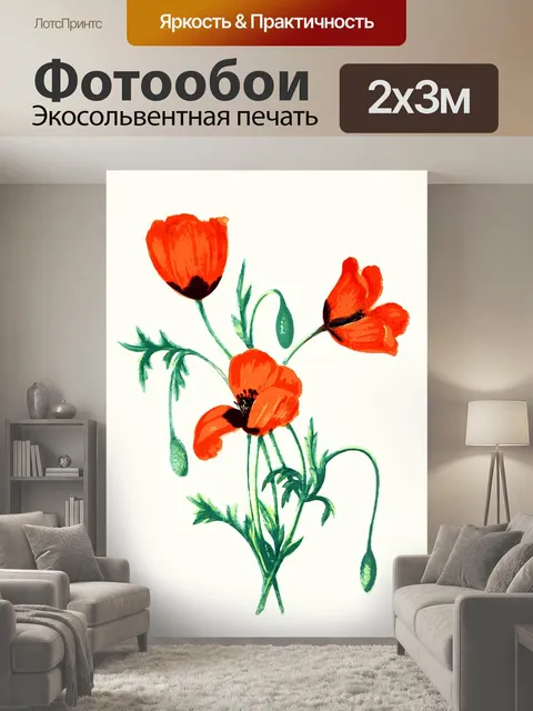 200 × 300 см · Экосольвентная печать