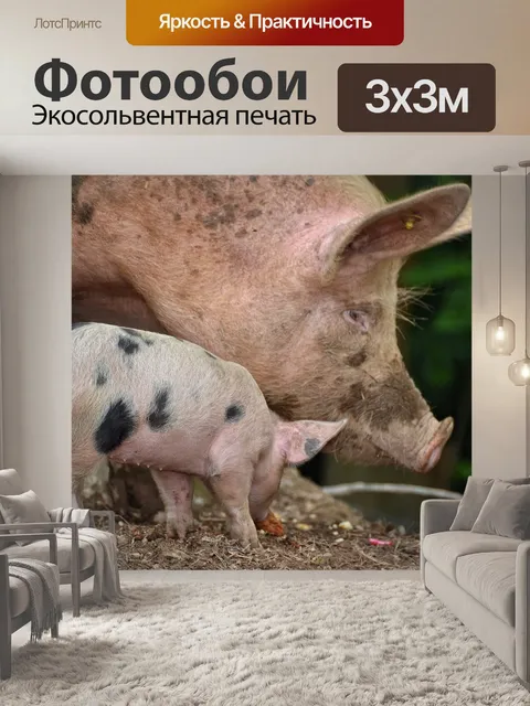 Фотообои Свинья, ферма, юноша