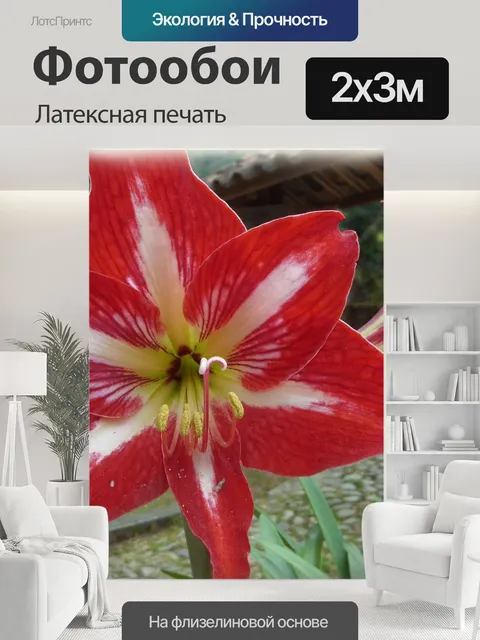 200 × 300 см · Латексная печать