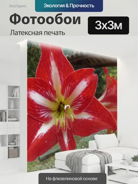 300 × 300 см · Латексная печать
